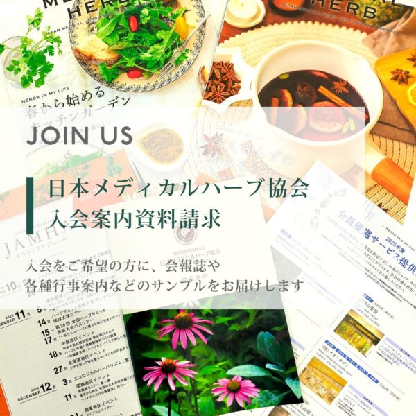 メディカルハーブ 日本メディカル協会 会報誌 30冊セット(57号抜け) メディカルハーブ 日本メディカル協会 会報誌 30冊セット(57号抜け