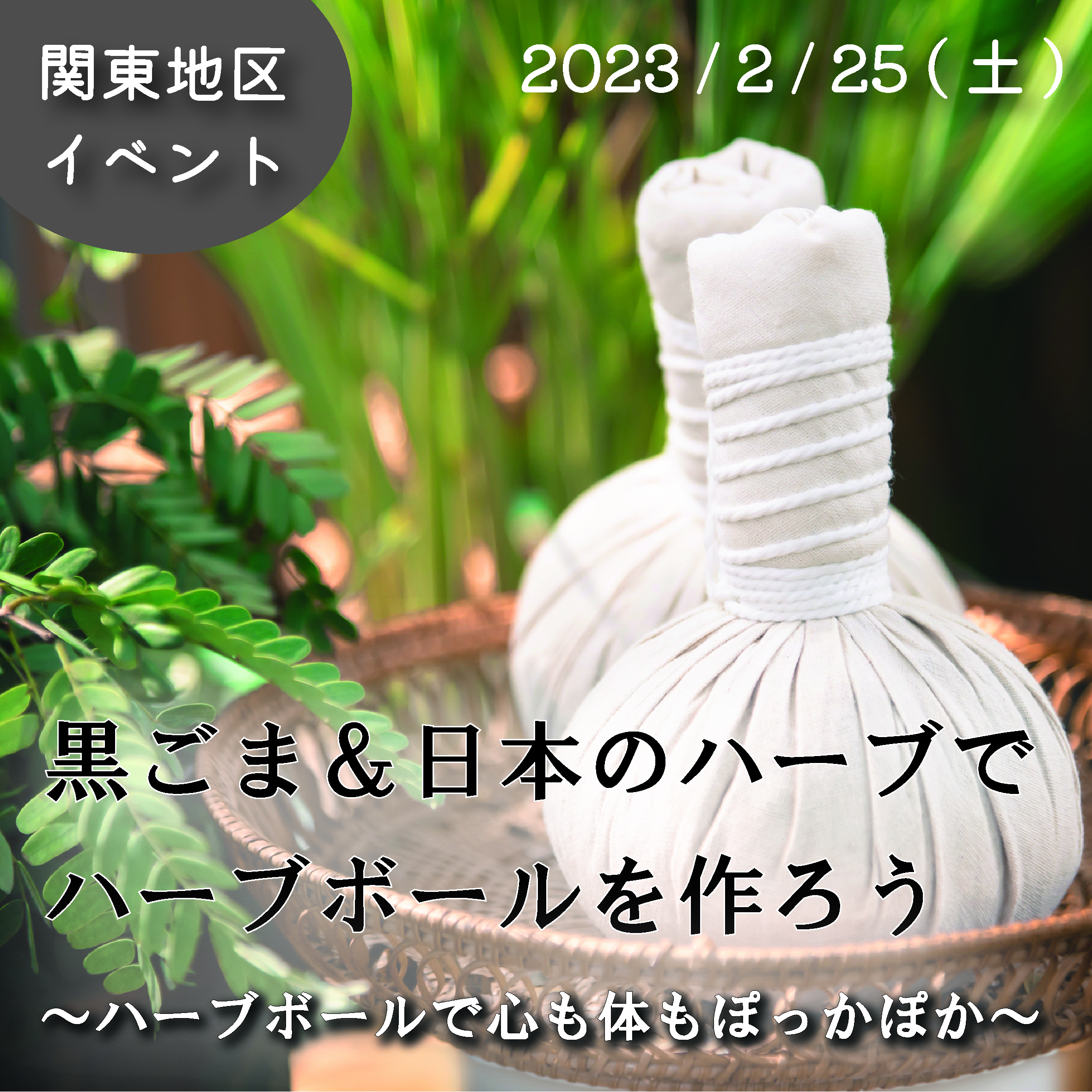 2023年2月25日(土)【関東地区イベント】黒ごま＆日本のハーブでハーブ