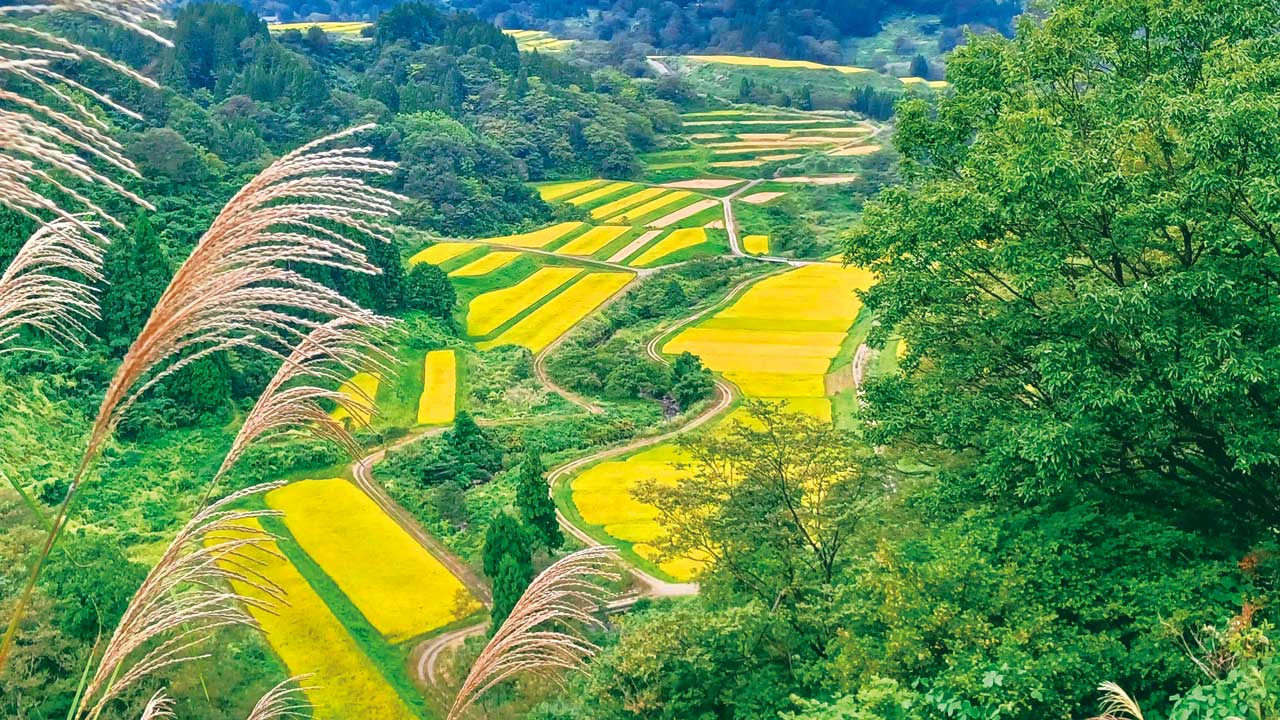 美しい地域環境資源を未来へ「つなぐ棚田遺産」: 新潟県上越市清里区