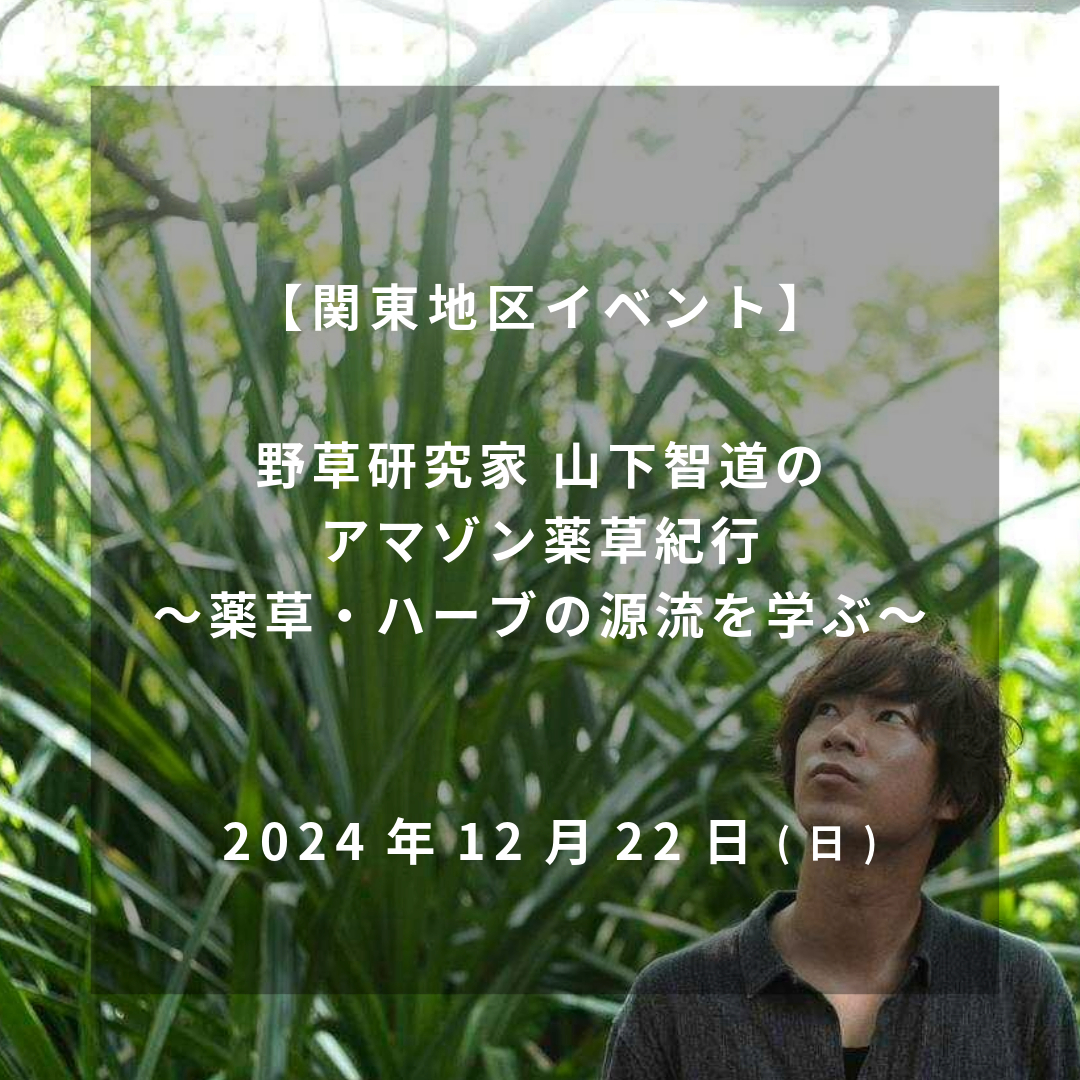 2024年12月22日（日）【関東地区イベント】野草研究家 山下智道の