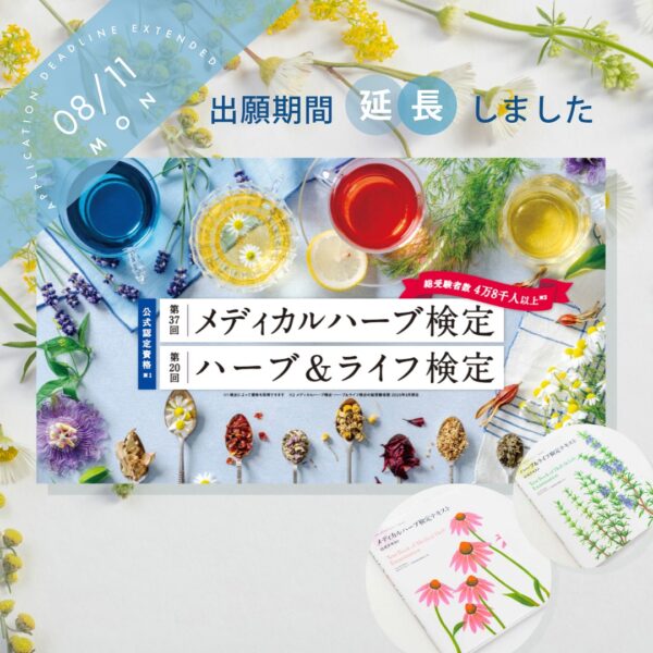 alohasea 薬事・申請における英文メディカルライティング入門I改訂版