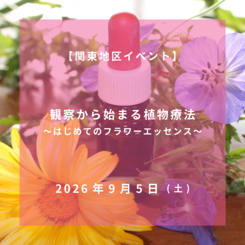 2026年9月5日【関東地区イベント】観察から始まる植物療法〜はじめての