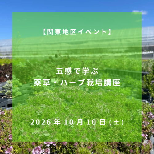 2026年10月10日【関東地区イベント】五感で学ぶ薬草・ハーブ栽培講座